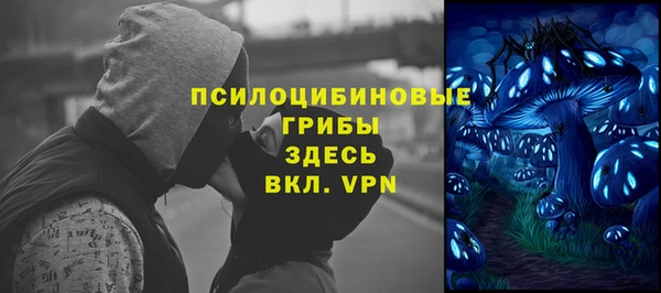 индика Алзамай