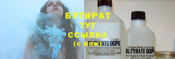 индика Алзамай