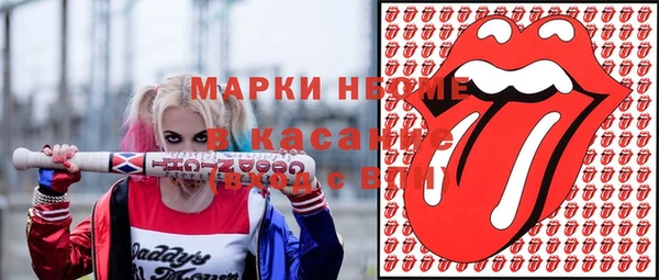 индика Алзамай