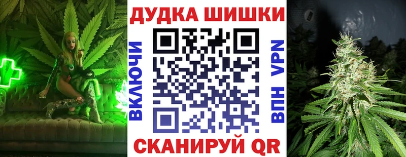 закладка  Новоузенск  Бошки марихуана ГИДРОПОН 